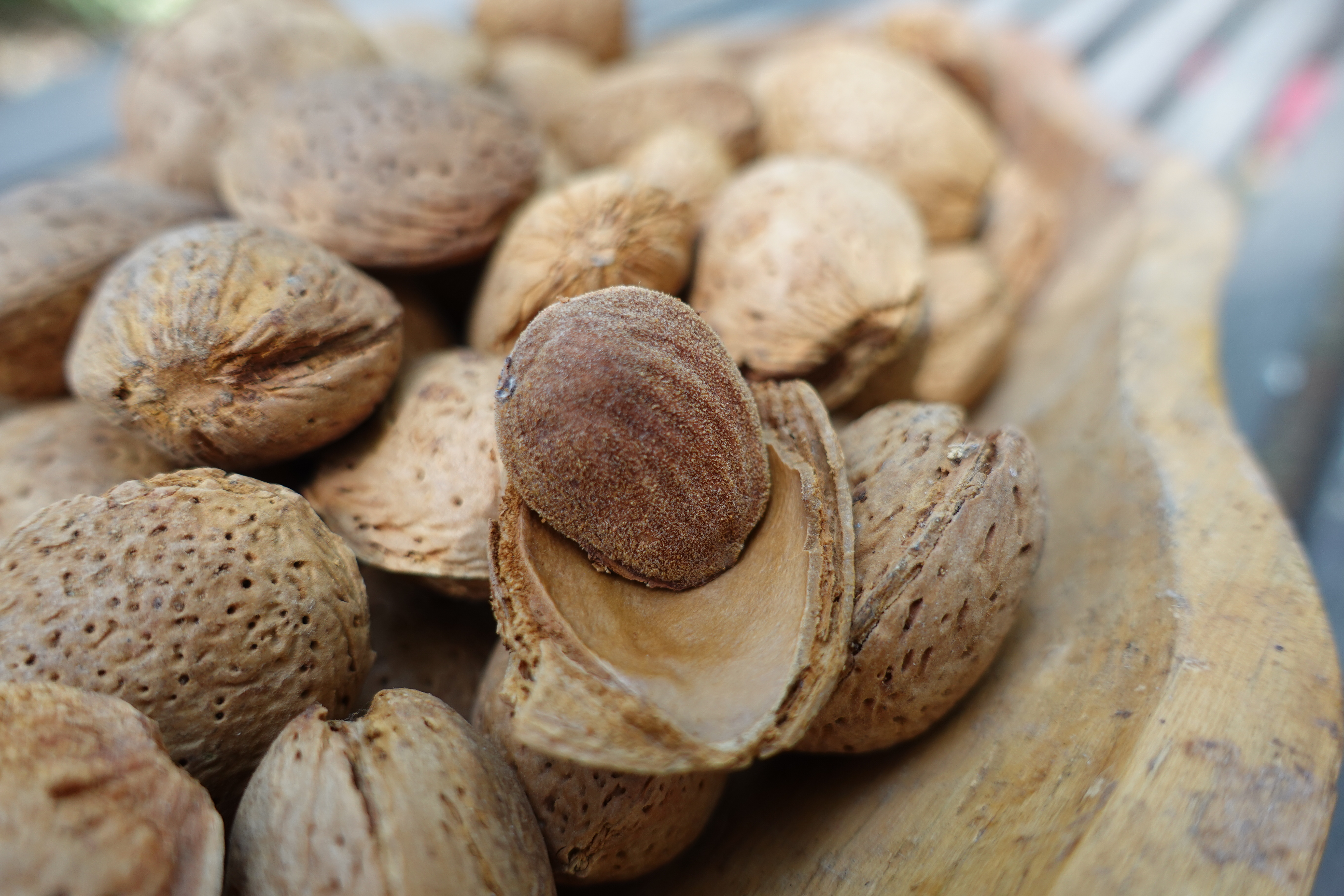 Amandes en Coque - Vrac au Kilo