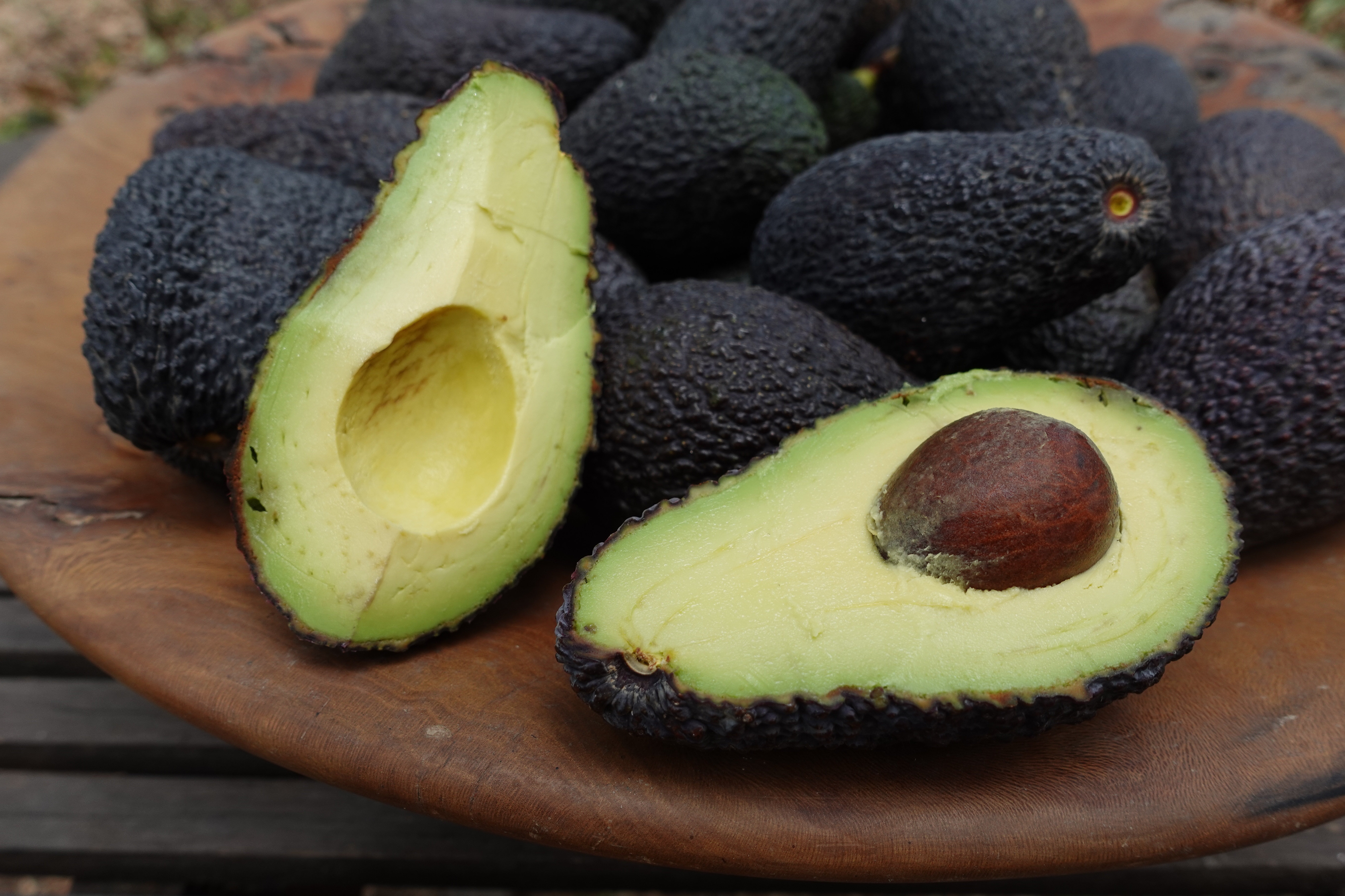 Avocat Hass (à l'unité)