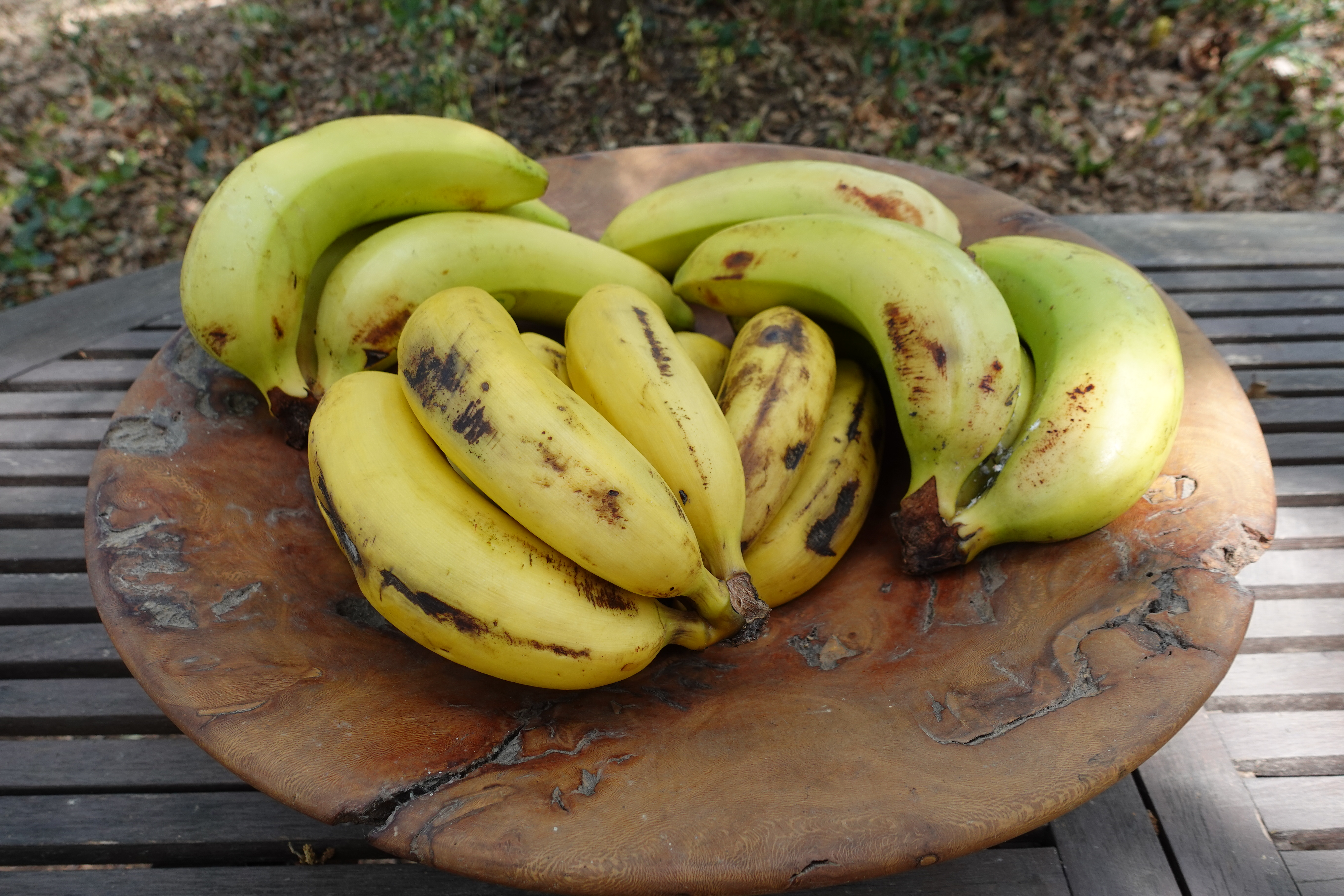 Bananes des canaries