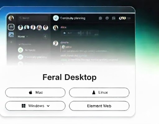 Interface de l'application férale